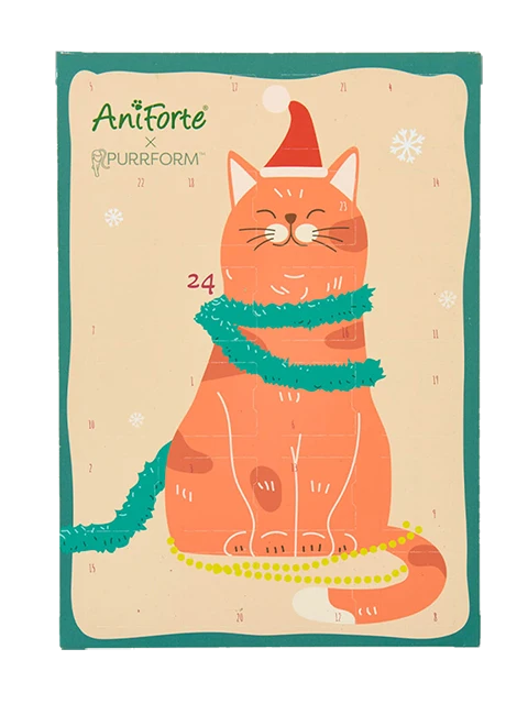 AniForte® Adventskalender Katze