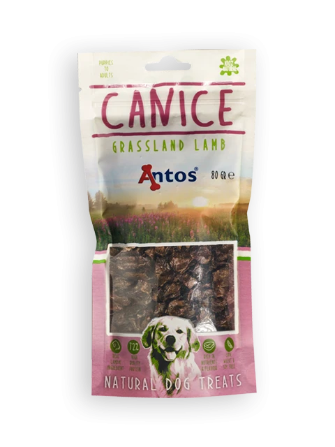 Canice Lamm 80 gr