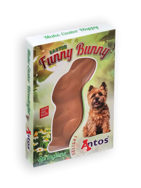 Ostern Funny Bunny