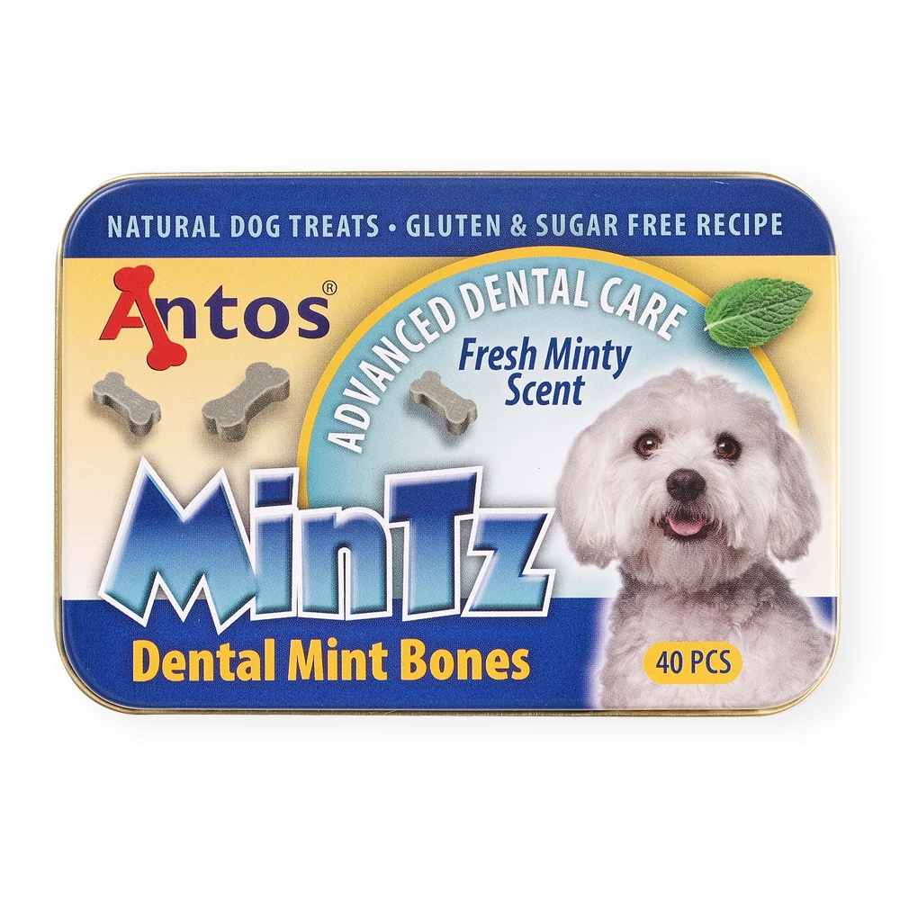 MinTz Dental Mint Bones 40 Stück