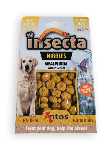 Insecta Nibbles Mehlwurm & Kürbis 100 gr