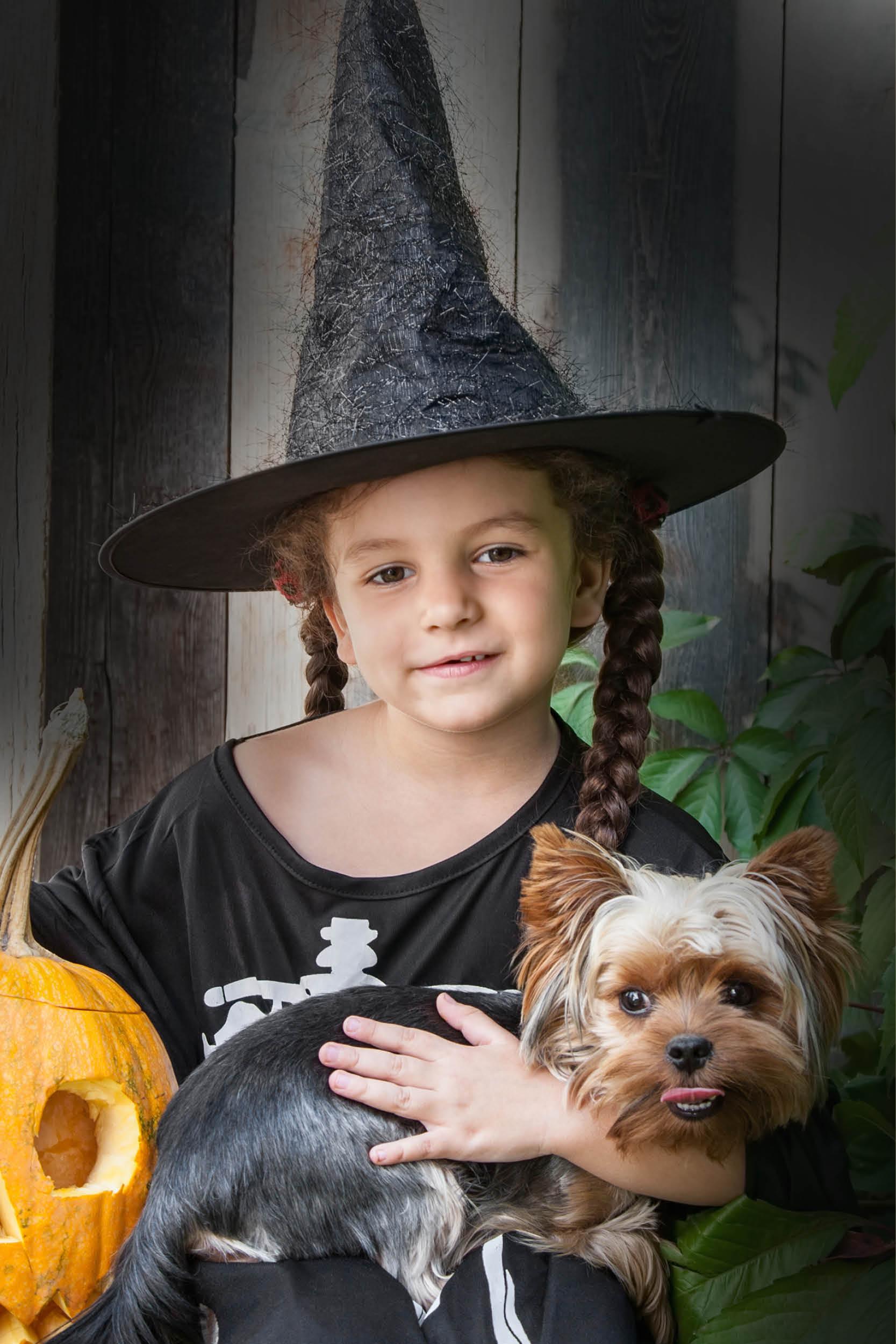 Verwöhne deinen Hund an Halloween!