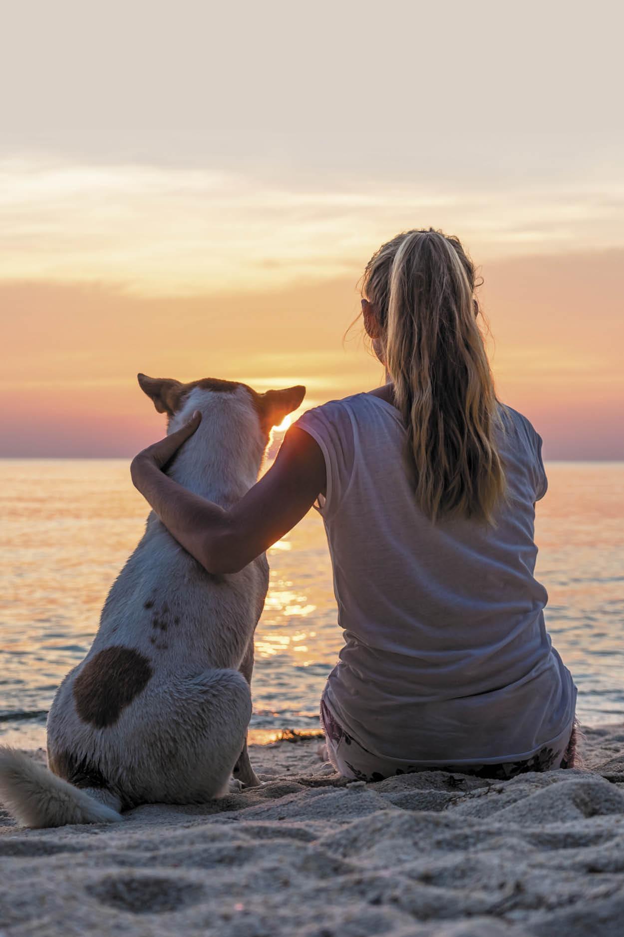 Hunde bringen so viel Freude