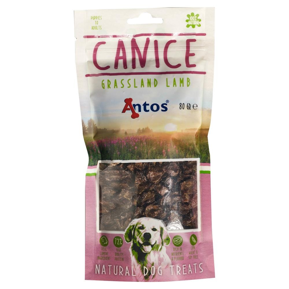 Canice Lamm 80 gr