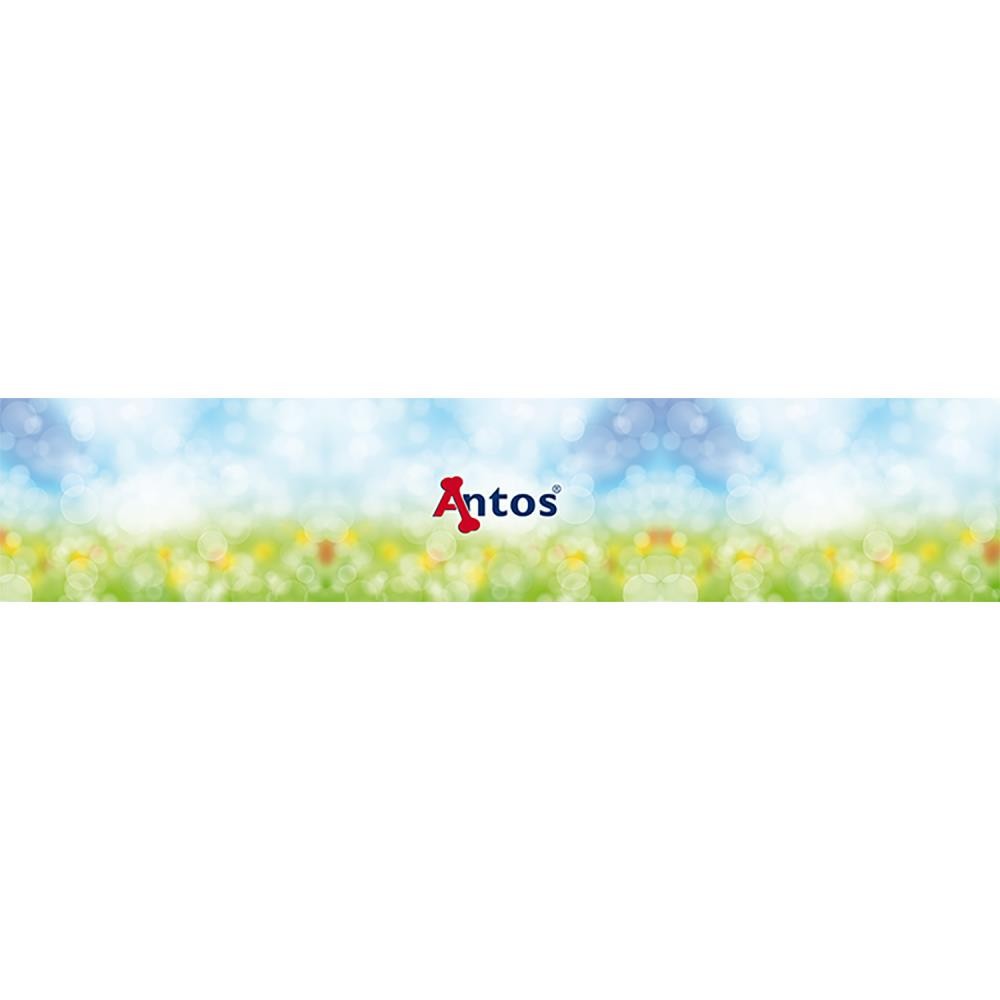 Signing 1000 - Antos