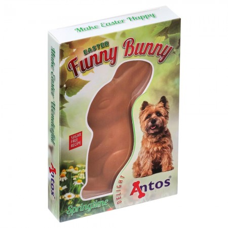 Ostern Funny Bunny