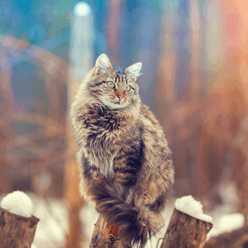 Für mehr Spaß
Mit Köstlichkeiten gefüllt