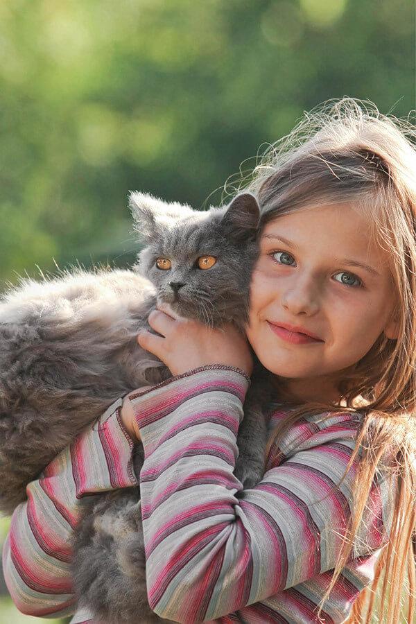 Wir lieben Katzen